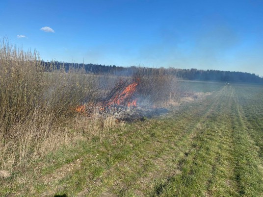 92953547_1535820726568218_613180102754172928_n