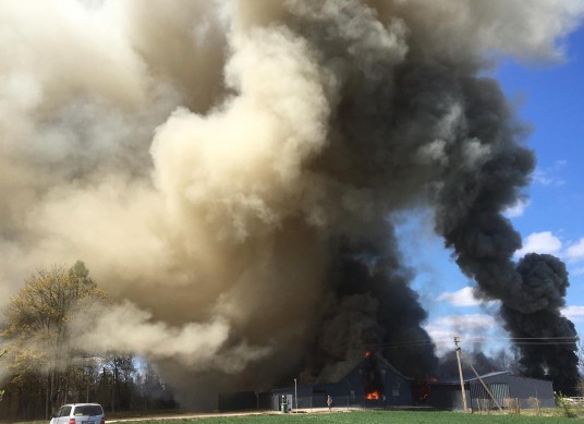 95257510_652101858686834_3912126160481288192_n