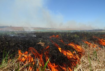 Ugniagesiai informuos gyventojus apie žolės deginimo pavojus