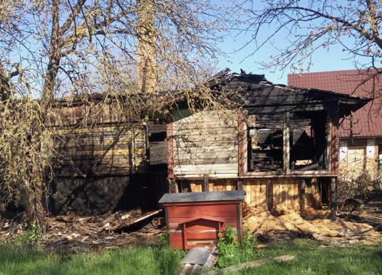 96515813_531910281029574_5672470033469538304_n