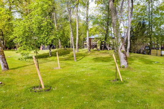 FB_IMG_1590493510456