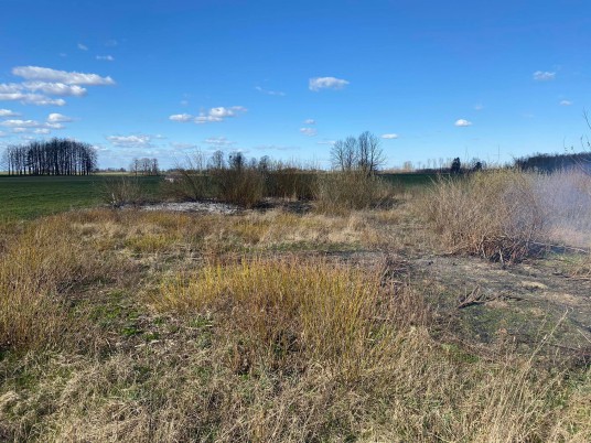 93006215_219465492661165_2613429553132994560_n