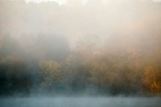 ruke-paskendes-nemunas-59e99d65684a6