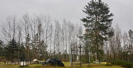 a išpjautimedžiaiIntuponiųkap