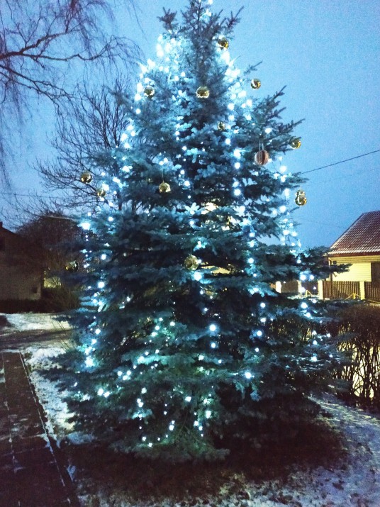 2020-12-20_16-38-36_423