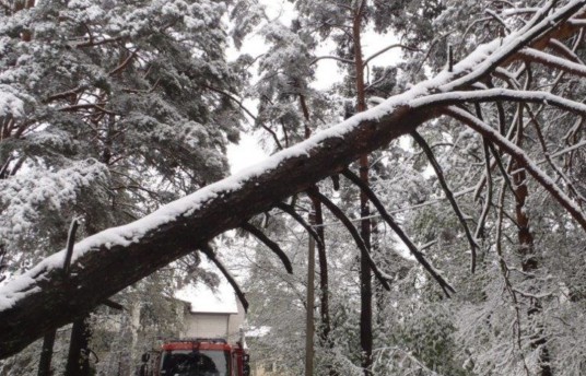 083018979-e0fd84e9-f438-481e-8898-8bb6ba6e7a69