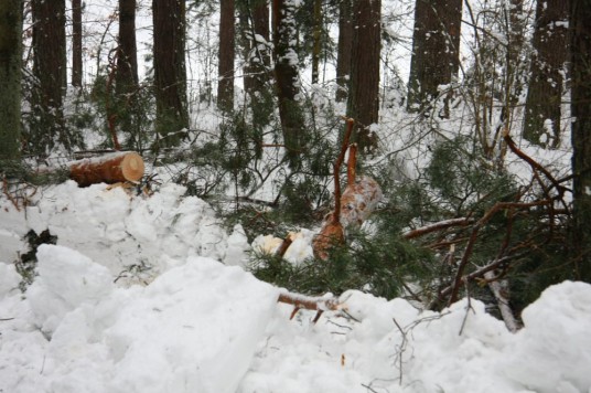 IMG_0642-e1611764108260