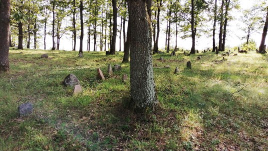 Stakliškių žydų kapinės
