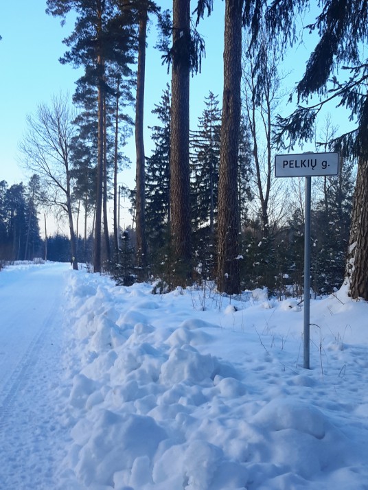 1 nuotrauka. Pelkių gatvė_2021