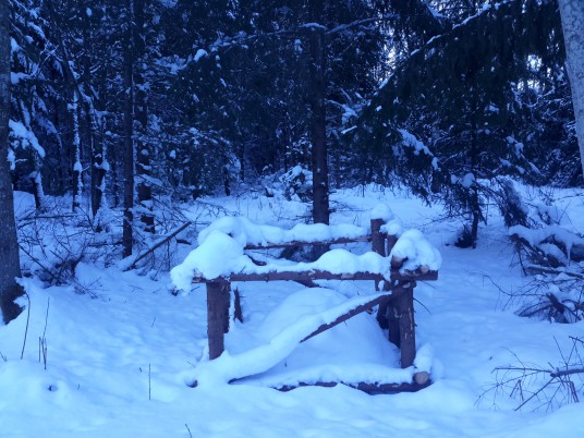 2 nuotrauka. Skruzdelynas žiemą_2021