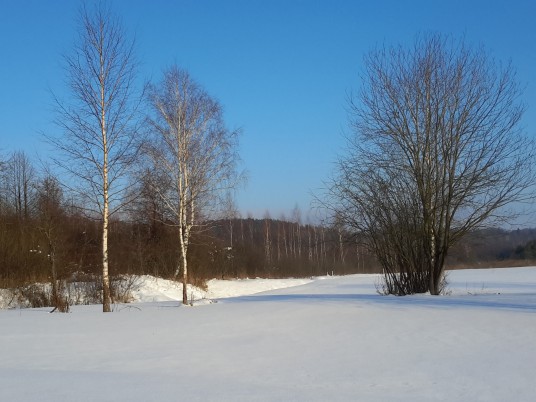 5 nuotrauka. Tartoko pelkė_2021