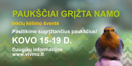 Pauksciai grizta namo