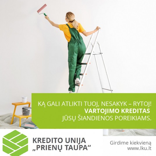 1022-1024 vartojmoji paskola