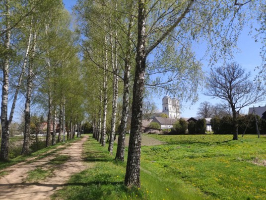 185410771_1068452083679818_7122552840868640864_n