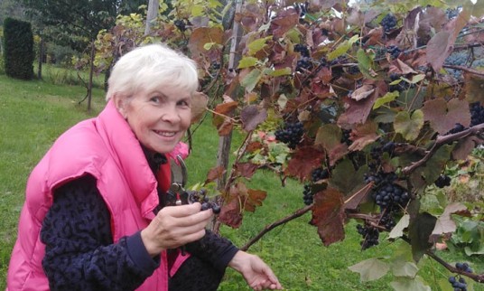 241753621_585300992599514_7858500664228680620_n (1)