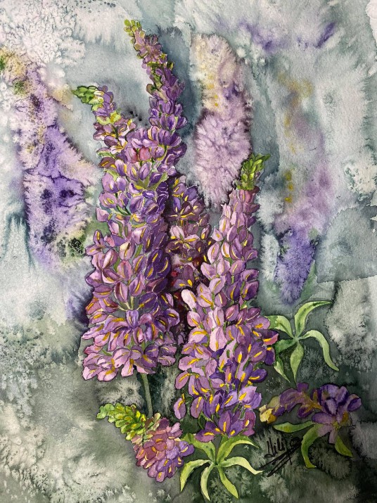 244141667_575930360146466_4280517157579447737_n