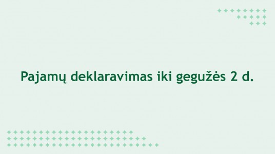 vmi-220309-deklaravimas