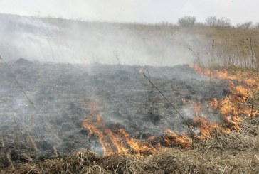 Žolės deginimo pasekmės: žala gamtai, žmonėms ir jų turtui