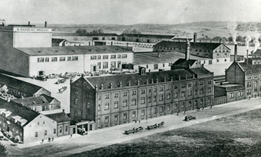 Goldberg alaus bravoras