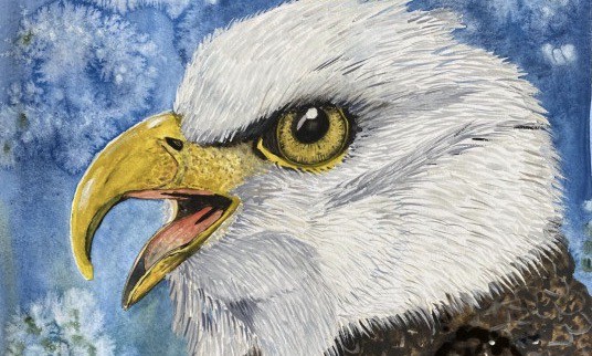 IMG-3935-e1661454147641-536x714 2