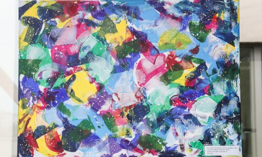 52993179544_e9d4a2d5bf_o