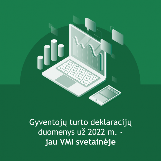 vmi-230717-deklaraciju-duomenys-svetaineje-fb